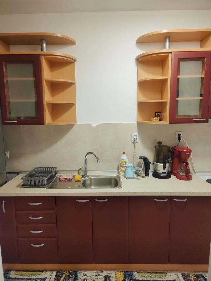 Antoni Apartment スコピエ エクステリア 写真